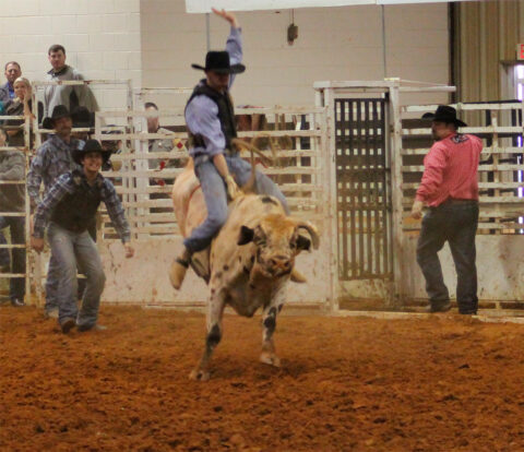 Sheriff’s Rodeo | Cullman County Sheriff's Office